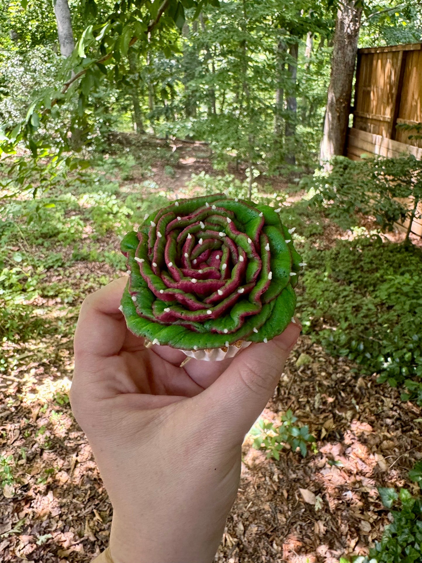 Cupcake Decorating Class | Saturday, July 20th @ 2pm