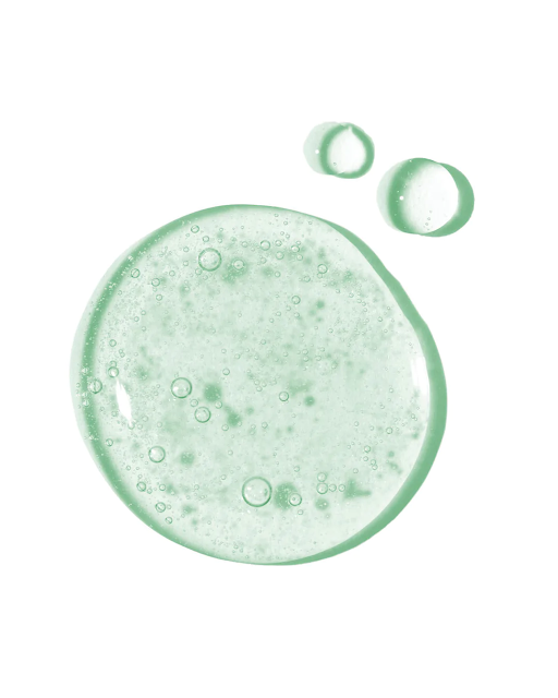 Earth Harbor Oasis Deep Pore Cleanser