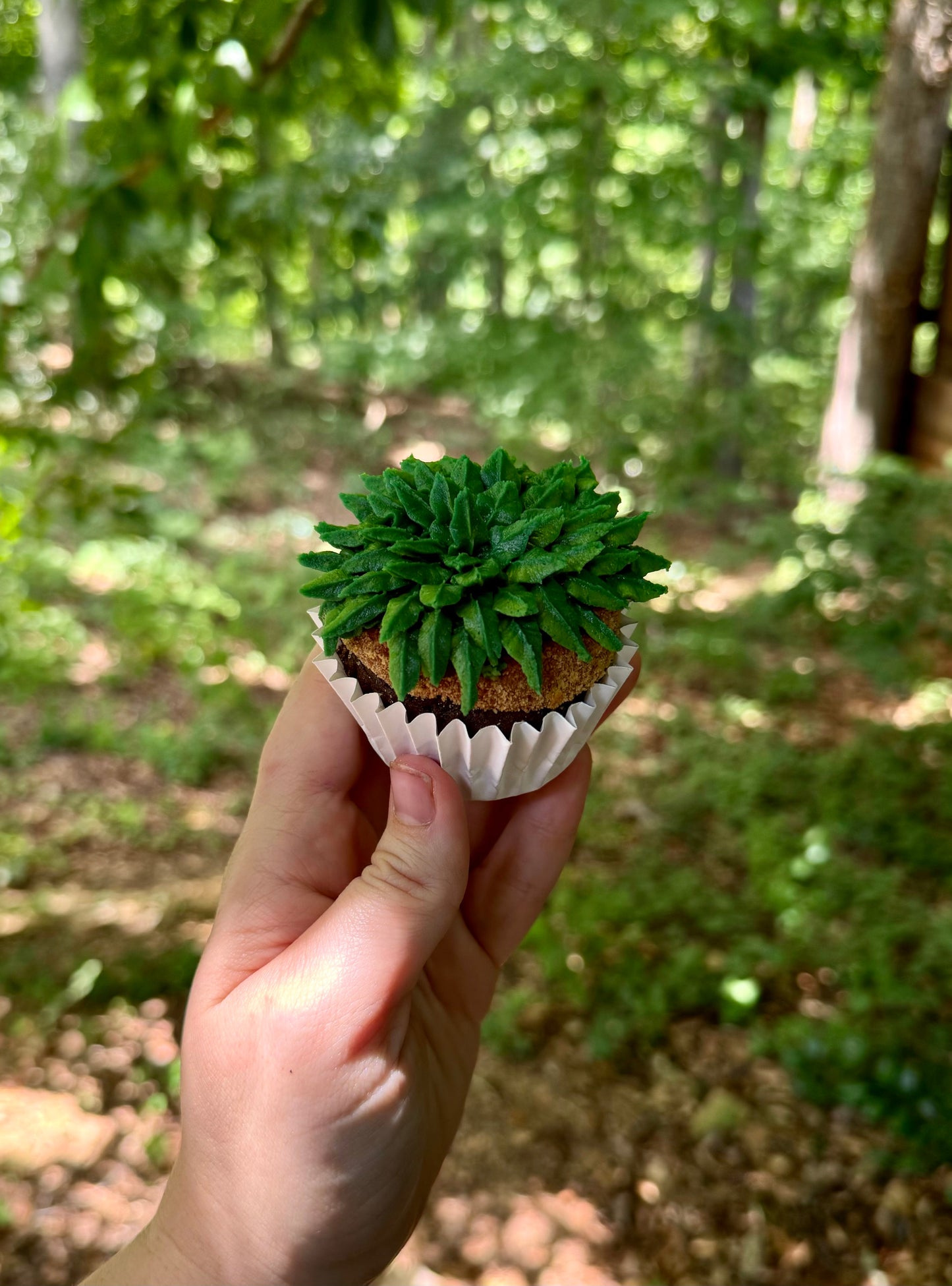 Cupcake Decorating Class | Saturday, July 20th @ 2pm