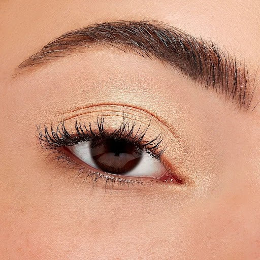 Sigma Beauty Eyeshadow Base Primer