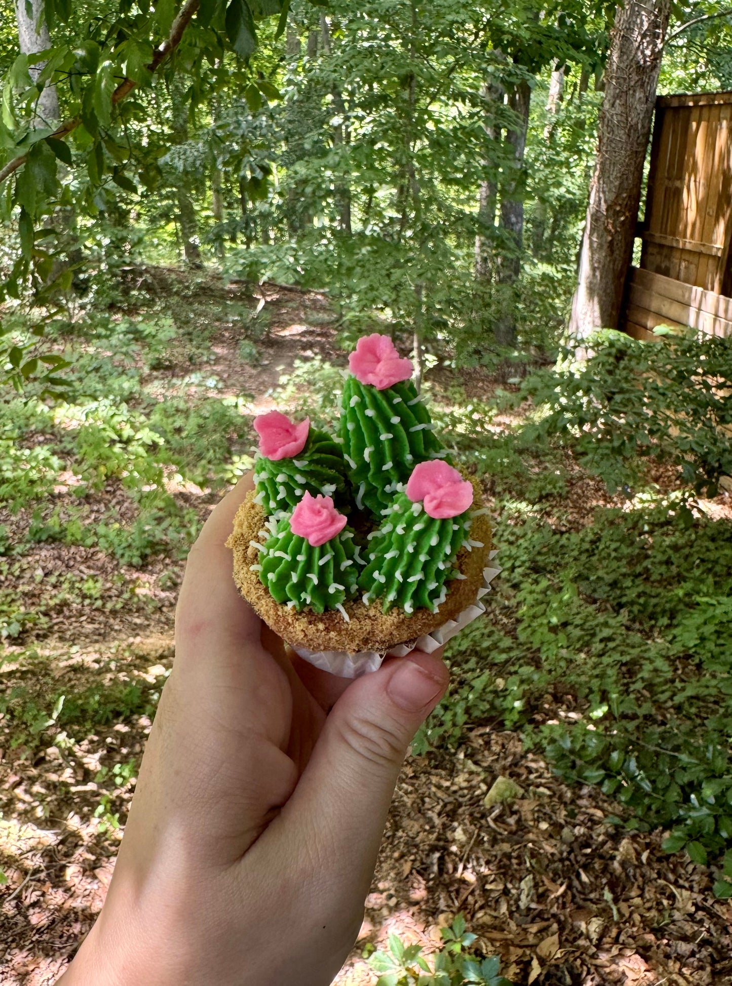 Cupcake Decorating Class | Saturday, July 20th @ 2pm