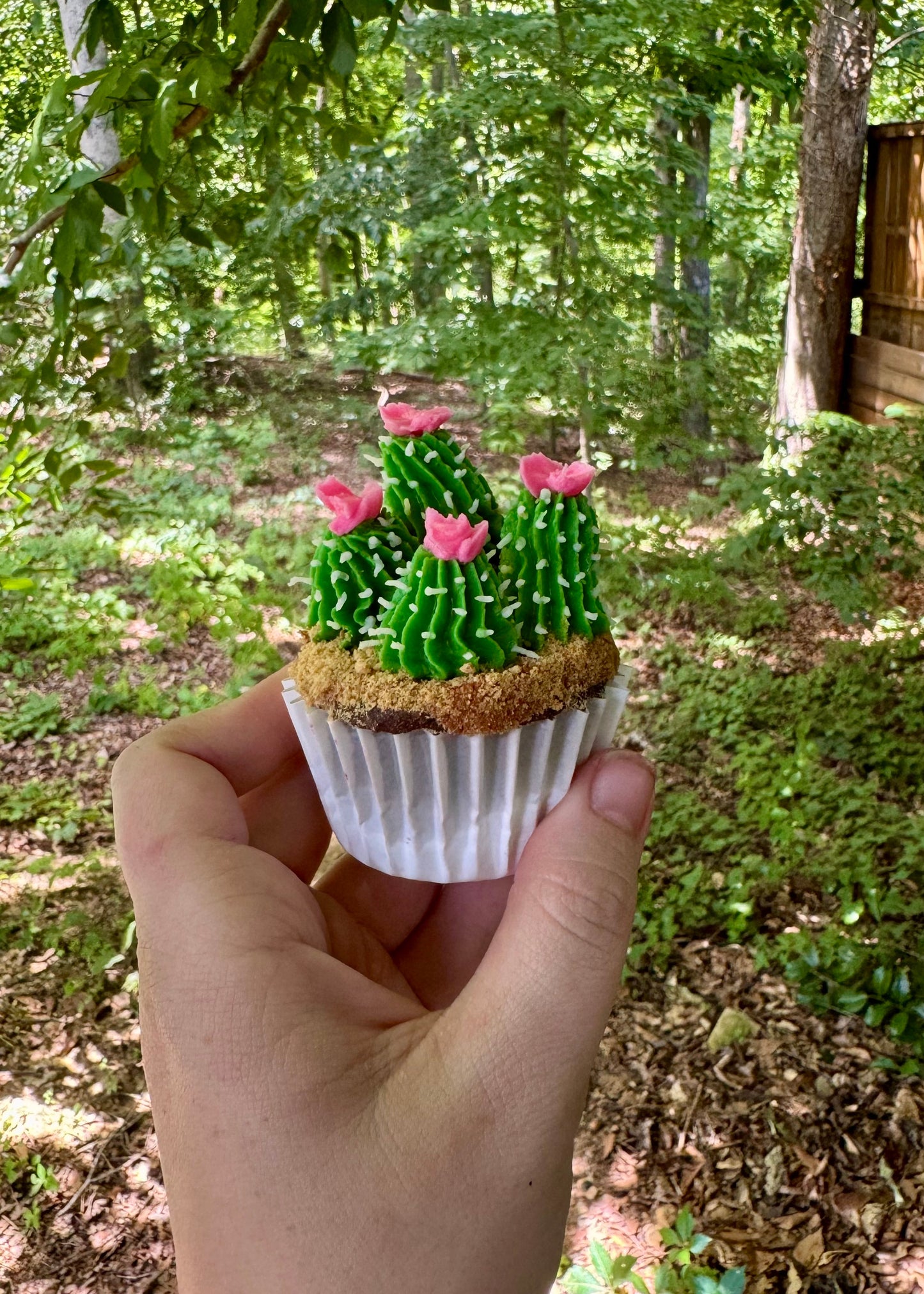 Cupcake Decorating Class | Saturday, July 20th @ 2pm